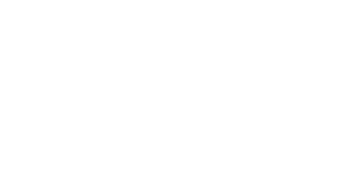 Logo von Nadine Schlesinger in weiß